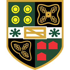 普利茅斯公园大道